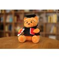 thumbnail image 1 of RV Oso de peluche con gafas - 18 cm, diploma y gorro de médico - Peluche para graduación, instituto o universidad Rojo Verde, 1 of 5