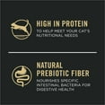 thumbnail image 4 of Purina Pro Plan Complete Essentials Shredded Blend Salmon and Rice Formula Adult High Protein Cat Food, 4 of 12