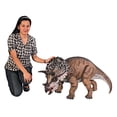thumbnail image 2 of Design Toscano Triceratops Scaled Dinosaur Statue, 2 of 9