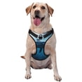 thumbnail image 1 of Fotbe Ocean Dolphin Fish School Arnés para Perro con Estampado –Chaleco Ajustable Acolchado con Asa de Control para Perros Grandes-Medium, 1 of 6