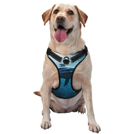 Vsdgher Ocean Dolphin Fish School Pattern Dog Harness No Pull Pet Harness with Soft Padded Handle Adjustable Reflective Vest with 2 Buckles 4 Slide Buckles S-XL Large