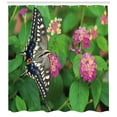 thumbnail image 3 of Ambesonne Swallowtail Shower Curtain, Eco Nature, 69"Wx70"L, Green Pink Black, 3 of 3