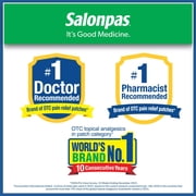 Salonpas Pain Relieving Patch, 20 Count (Pack of 1)