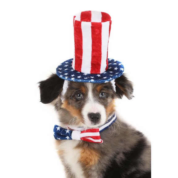 4th of July Pet Costume Kit