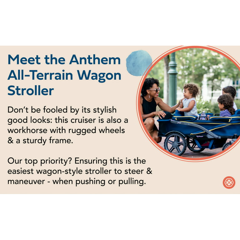 Travel Bag for Anthem2 or Anthem4 All-Terrain Stroller