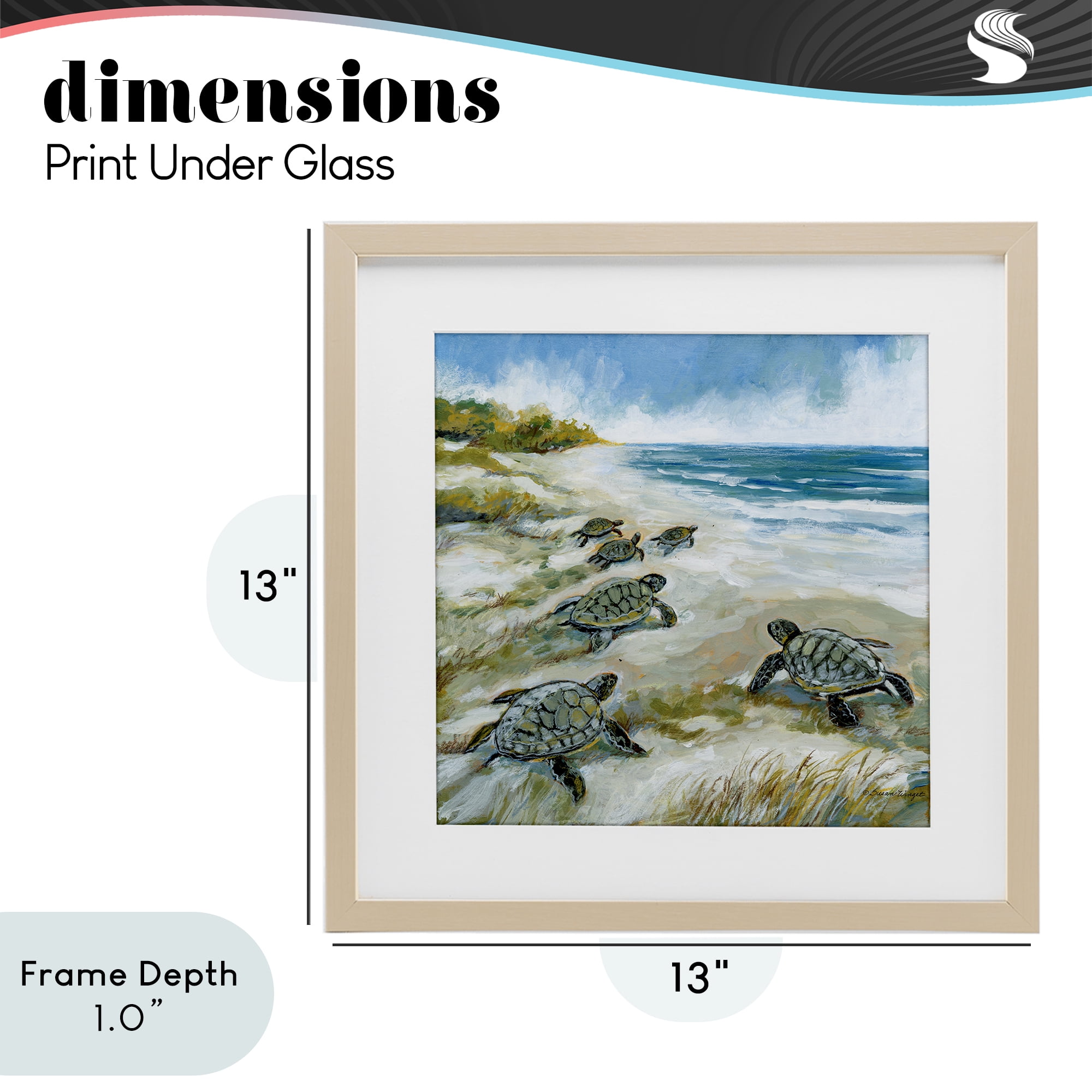 Stupell Industries Baby Sea Turtles on Beach Birch Framed Print Under Glass, design by Susan Winget