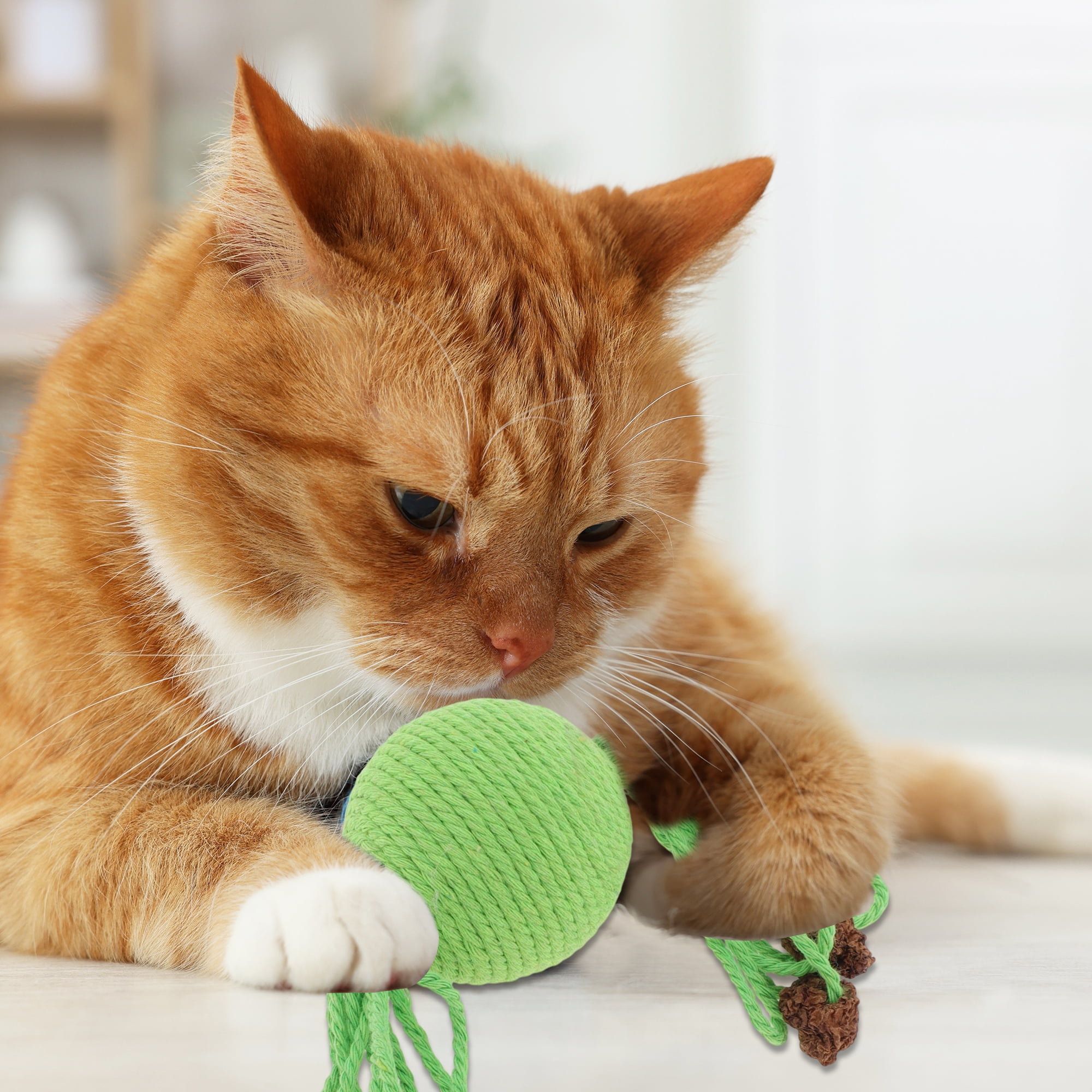 Unique Bargains Cat Playing Ball with Galls Fruit for Indoor Green