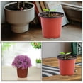 thumbnail image 3 of OFFIGAM 120Pcs PP Material Plant Growth Containers for Succulents Balcony Patio, 3 of 6