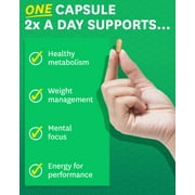 Zenwise Health Green Tea Extract with Green Coffee Bean Extract - Vegan Skin & Heart Support + Brain Health & Memory Boost - 120 Count
