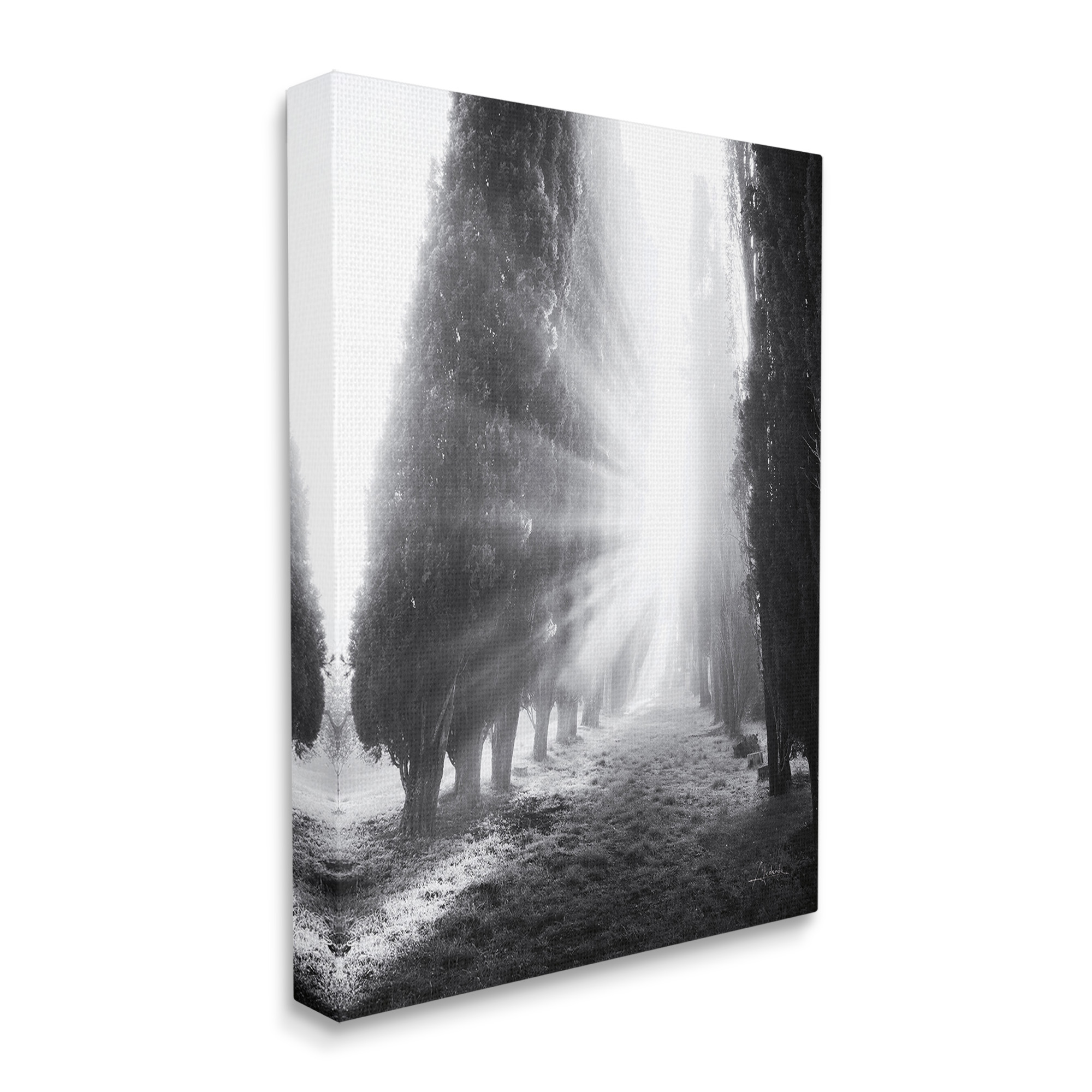 Stupell Industries Sun Rays & Hedge Grove Landscape Photography Gallery Wrapped Canvas Art Print Wall Art, 30 x 40