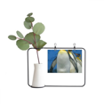 thumbnail image 1 of Many Antarctic Penguins Nature Science Picture Metal Picture Frame Cerac Vase Decor, 1 of 3