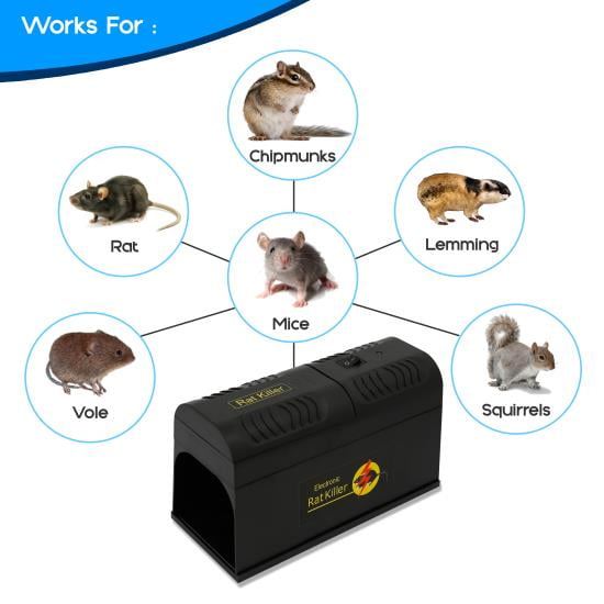 Gustave Rat Trap Cage Small Live Animal Pest Rodent Mouse Control Bait  Catch, Pest Trap Cage, Mouse Trap, Humane Live Cage Rat Mouse Trap  -11*5.5*4.3