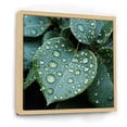 thumbnail image 2 of Designart "Harmony In Aqua Leaf Photography I" Leaves Floater Framed Wall Decor, 2 of 5