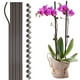thumbnail image 2 of 10 Uds Alambre de Soporte para Plantas Soporte de Jaula de Plantas de Plástico Flexible para Jardín Flores Hierbas Vegetales ANGGREK Otros, 2 of 8