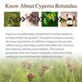 thumbnail image 2 of Pack Doble de Aceite de Cyperus rotundus Premium para Eliminar Vello Corporal - 100% Natural - Trata, 2 of 6