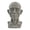 G, variant on OIUR Generic Planar Head Model for Drawing Resin Skull Sculpture with Detailed Muscle Structure Art Study Tool for Sketching Anatomy Learning