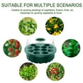thumbnail image 3 of Sprout Initiator Tray under $5! Yrmaups Germination Tray, 13-Cell Round Plastic Nursery Holder, Double Layer Growing Tray for Sprouts, with Drainage Holes, Reusable Starter Tray, 3 of 9