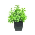 thumbnail image 2 of Honeeladyy Realistic Fake Potted Plants, Plastic Greenery Decor, Small Artificial Green Plant for Home, Office, Wedding, Tabletop, Shelf Decor, 2 of 6