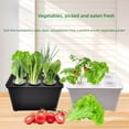 thumbnail image 3 of Hydroponic Growing Box For Indoor Gardening And Vegetables Polypropylene Construction, 3 of 9
