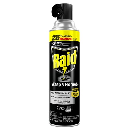 Raid Wasp & Hornet Killer 33, 17.5 oz (Best Time To Spray Hornets Nest)