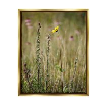 Stupell Industries Yellow Daisy Sprout Botanical & Floral Photography Gold Floater Framed Canvas Art Print Wall Art, 17 x 21