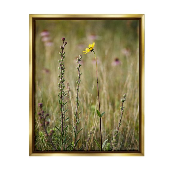 Stupell Industries Yellow Daisy Sprout Botanical & Floral Photography Gold Floater Framed Canvas Art Print Wall Art, 17 x 21