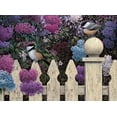 thumbnail image 1 of Rompecabezas Buffalo Games Love Song 1000 piezas, 1 of 6