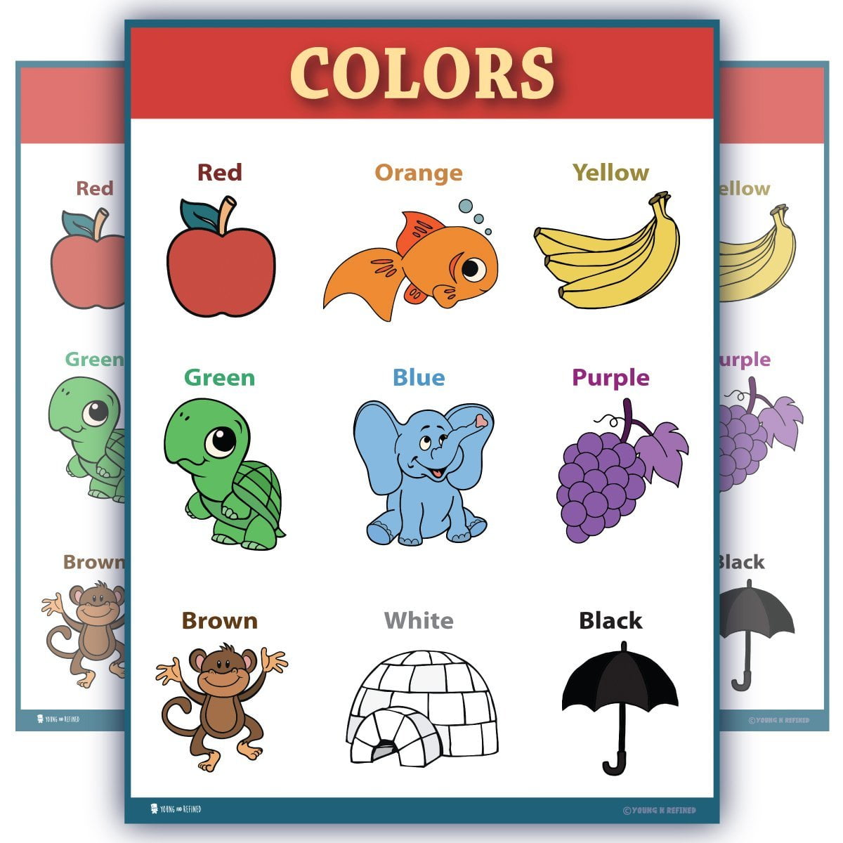 Learning colors educational poster LAMINATED size SMALL chart for