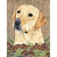 thumbnail image 1 of Carolines Treasures SC9049GF Labrador Flag - Garden Size, 1 of 3