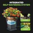 thumbnail image 4 of FCMP Outdoor Modemmo Self-Watering Planter, Argyle Pattern, Black, Set of 2, 4 of 10