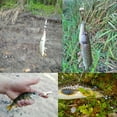 thumbnail image 4 of Cebo de pesca, 2 piezas de cebos de pesca de metal con vibración, cebos de pesca duros, señuelos de pesca de metal de estética elegante, 4 of 11