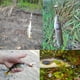 thumbnail image 3 of Juego de cebos de pesca de Metal con vibración, Kit de Señuelos de Pesca duros con gancho (10g dorado + 15g dorado), 2 uds. YUNYI BRAND  Deportes, 3 of 8