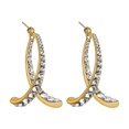 thumbnail image 1 of Pendientes de diamantes con destellos coreanos y aguja plateada Pendientes geométricos sencillos con forma de cola de pez y cruz en forma de arco, 1 of 5