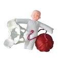 thumbnail image 2 of Modelo de anatomía pélvica femenina Modelo de Modelo de entrenamiento Herramienta educativa para la comunicación con pacientes de ginecología, 2 of 8
