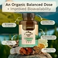 thumbnail image 6 of Longevity Botanicals Organic Super 6 Blend Mushroom Supplement Capsules (120 Count). Mushroom Powder Complex, 6 of 10