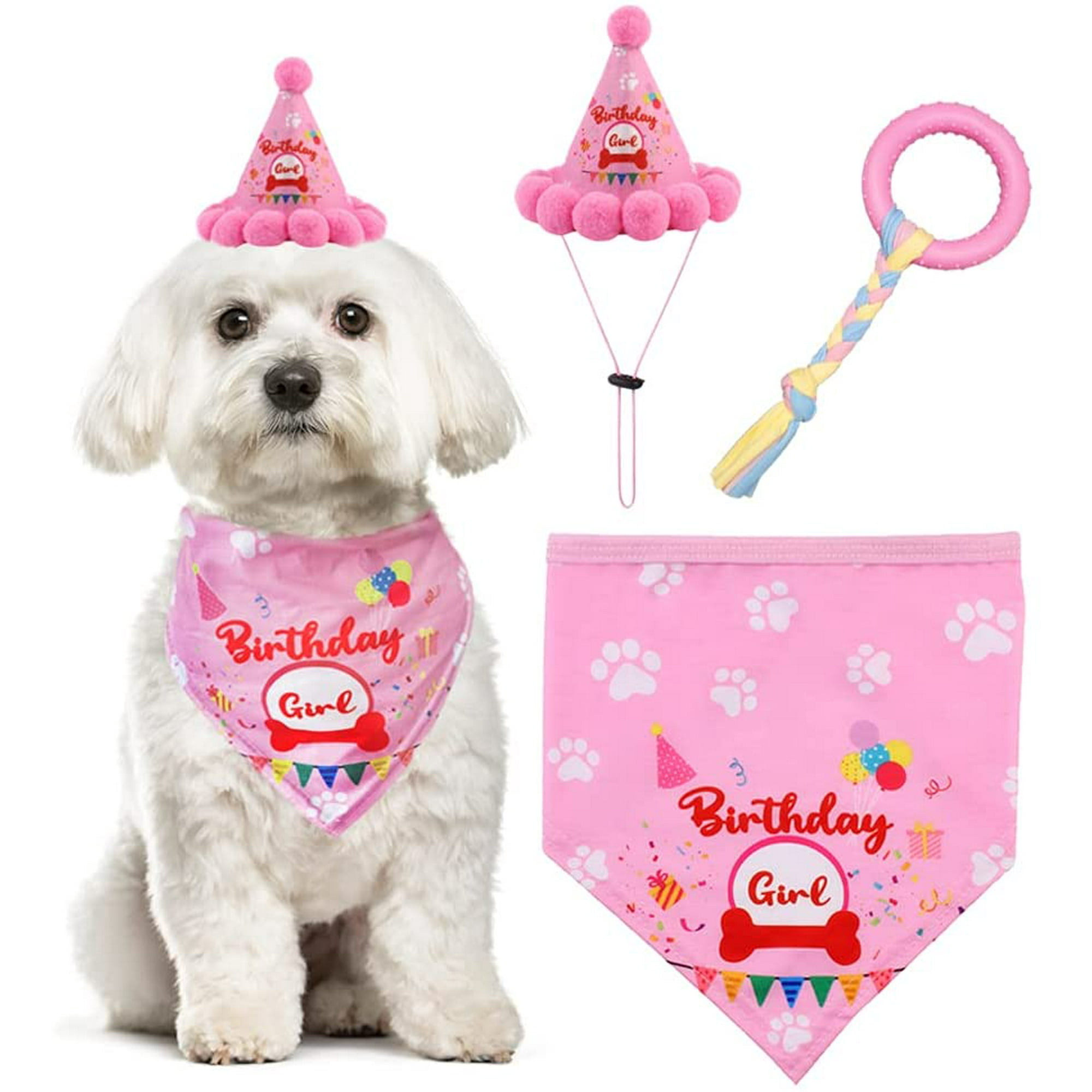 Why Do Dogs Chew Your Clothes