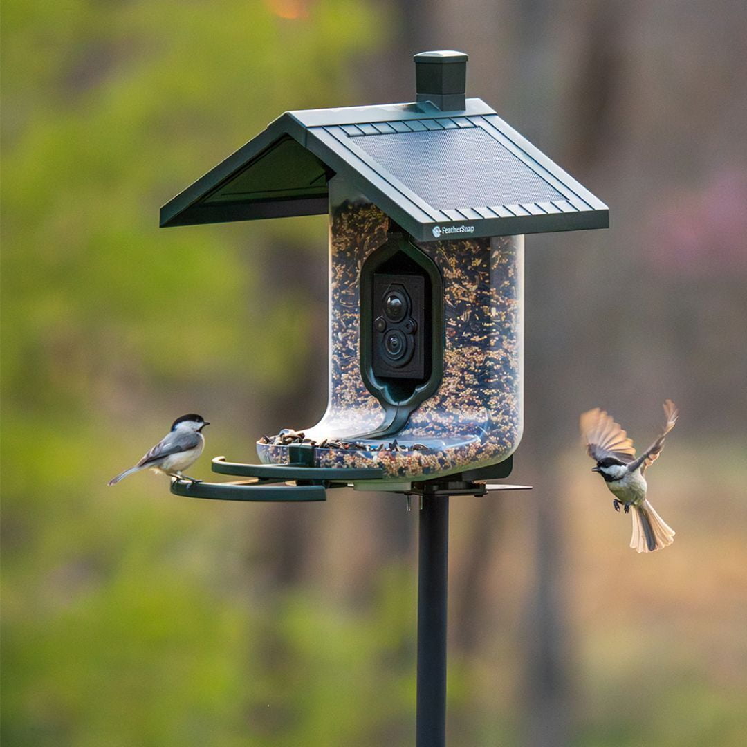 Feathersnap Scout WiFi Solar-Powered Smart Bird Feeder