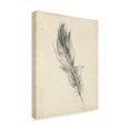 thumbnail image 2 of Trademark Fine Art 'UA CH Feather Sketch IV' Canvas Art by Ethan Harper, 2 of 4