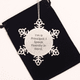 thumbnail image 2 of Principal Snowflake Ornament, Funny Quote, 'I'm A Principal. I Speak Fluently In genius.' Gifts for Men, Women, Coworkers, Family, Friends from Principal, Christmas Unique Gifts, 2 of 3
