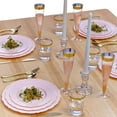 thumbnail image 6 of PARTY DISPOSABLE 20 PC DINNERWARE SET | 20 Dinner Plates | Heavyweight Plastic Dishes | Elegant Fine China Look | for Upscale Wedding and Dining (Vintage Collection  Blush | 10.25 Inch), 6 of 6