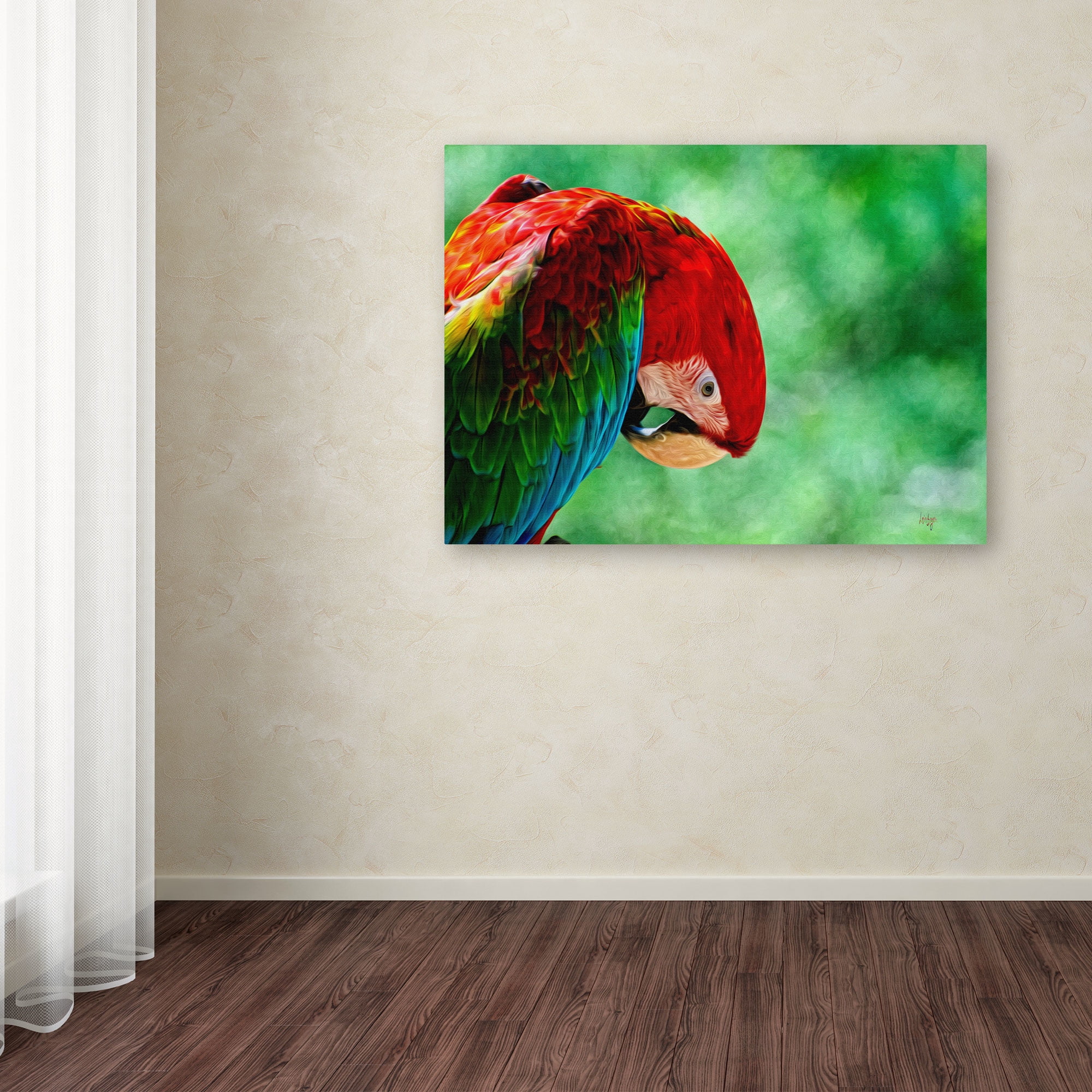Trademark Fine Art "Colorful Macaw" Canvas Art by Lois Bryan