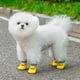 thumbnail image 5 of Calcetines Para Perros Ropa Para Mascotas Calcetines Para Cachorros Que Evitan Arañazos Y Suciedad Con Juguetes 3D Para Perros Pequeños Y Medianos Y Gatos Uso En Interiores Y Exteriores, 5 of 5
