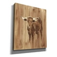 thumbnail image 2 of Epic Graffiti 'Wood Panel Longhorn' by Ethan Harper Canvas Wall Art, 26"x30", 2 of 3
