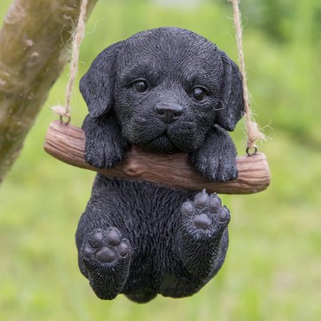 Image result for black lab