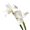White, variant on bestolf Artificial Iris Flower 2 Heads Faux Silk Flower Bouquet Long Stem Fake Iris Flowers for Floral Arrangements Table Centerpiece Party Wedding Decor