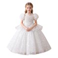 thumbnail image 2 of LEKWK Girls Princess Dress Sequin Puff Short Sleeve Sheer Mesh Tiered Pageant Gown Embroidery Ruffle Cute Dress for Flower Girl Wedding Birthday Party 3-14Y, 2 of 8