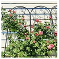 thumbnail image 4 of Metal Garden Trellis 2 Pack - 86.7" x 19.7" Rustproof Plant Support - Outdoor Climbing Flower Trellis with Dragonfly Design - Black, 4 of 9