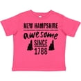 thumbnail image 3 of Inktastic New Hampshire Awesome Since 1788 Boys or Girls Toddler T-Shirt, 3 of 5