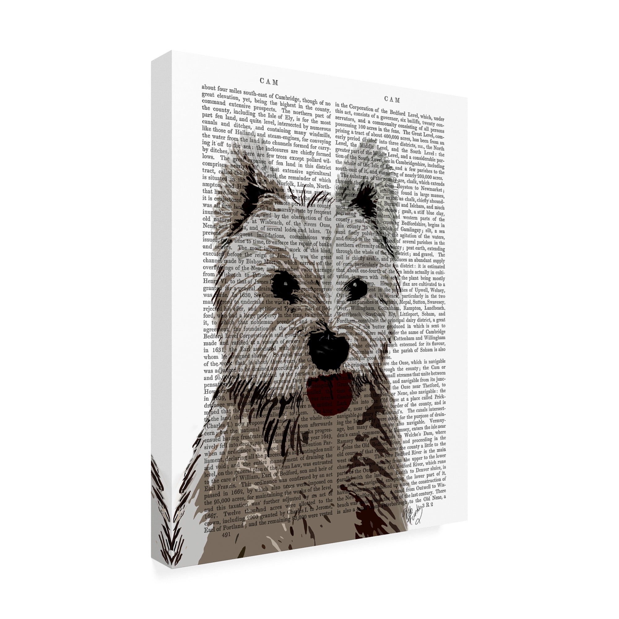 Trademark Fine Art 'West Highland Terrier, Plain' Canvas Art by Fab Funky