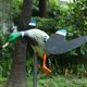 thumbnail image 3 of Señuelo de caza eléctrico shamjiam Flying Duck Con control, 3 of 8